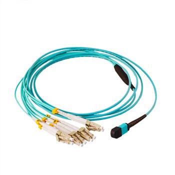 MTP 24F OM3 Breakout Patchcord/Jumper